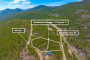 111 Pine Dr, Idaho Springs, CO 80452 - Photo 1