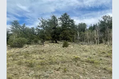 4193 Goldenburg Canyon Road, Hartsel, CO 80449 - Photo 1