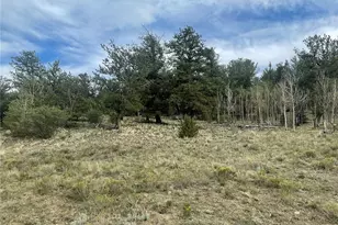 4193 Goldenburg Canyon Rd, Hartsel, CO 80449 - Photo 1