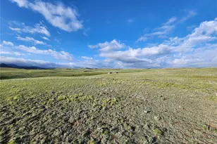 4305 Black Gatto Trl, Hartsel, CO 80449 - Photo 1