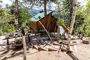 286 Grosbeak Circle, Divide, CO 80814 - Photo 1