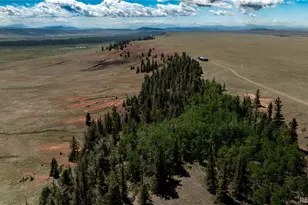 4319 Meier Rdg Trl, Fairplay, CO 80440 - Photo 1