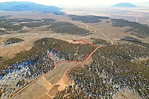 Eagle Nest Rd, San Luis, CO 81152 - Photo 1