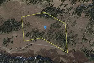 16375 Eagle Lode, Leadville, CO 80461 - Photo 1