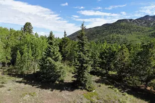 12775 S State Hwy 67, Cripple Creek, CO 80813 - Photo 1