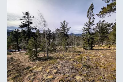 288 Hayes Street, Bailey, CO 80421 - Photo 1