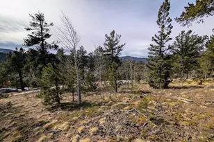 288 Hayes St, Bailey, CO 80421 - Photo 1