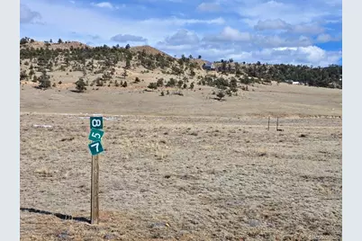 857 S Muley Gulch Drive, Hartsel, CO 80449 - Photo 1