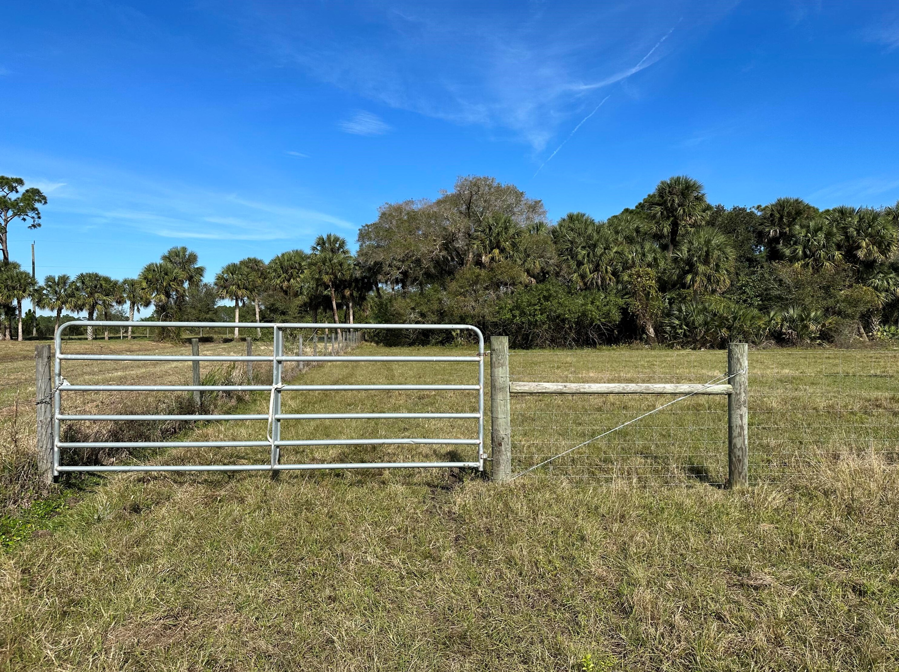 14155 103 St, Fellsmere FL  32948 exterior