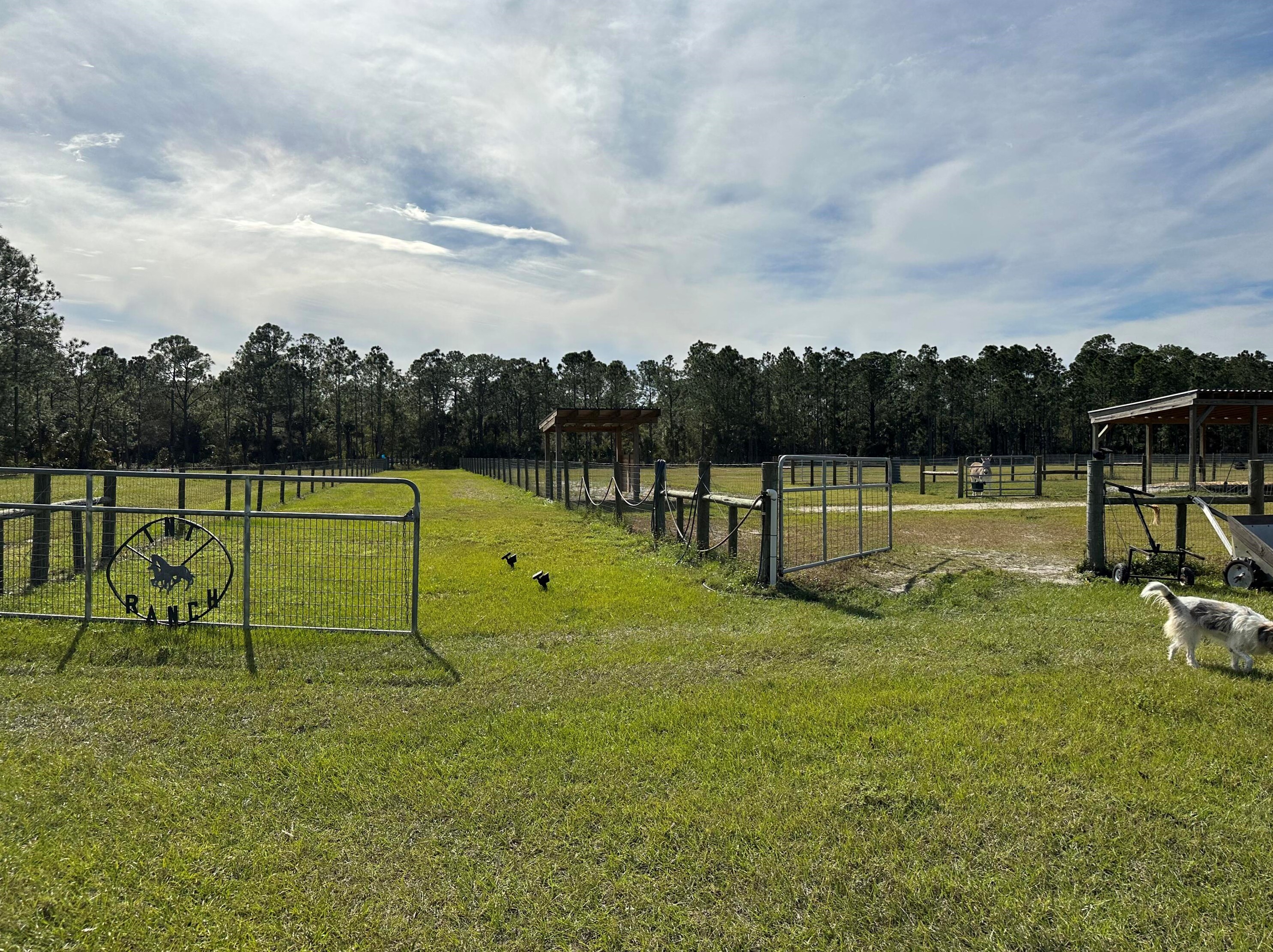 14155 103 St, Fellsmere FL  32948 exterior