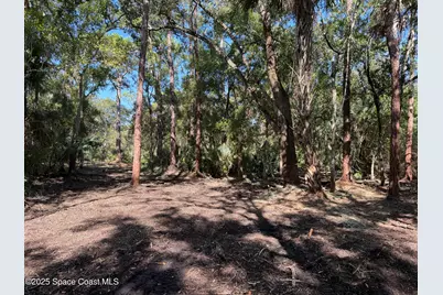 0000 Valkaria Road, Malabar, FL 32950 - Photo 2