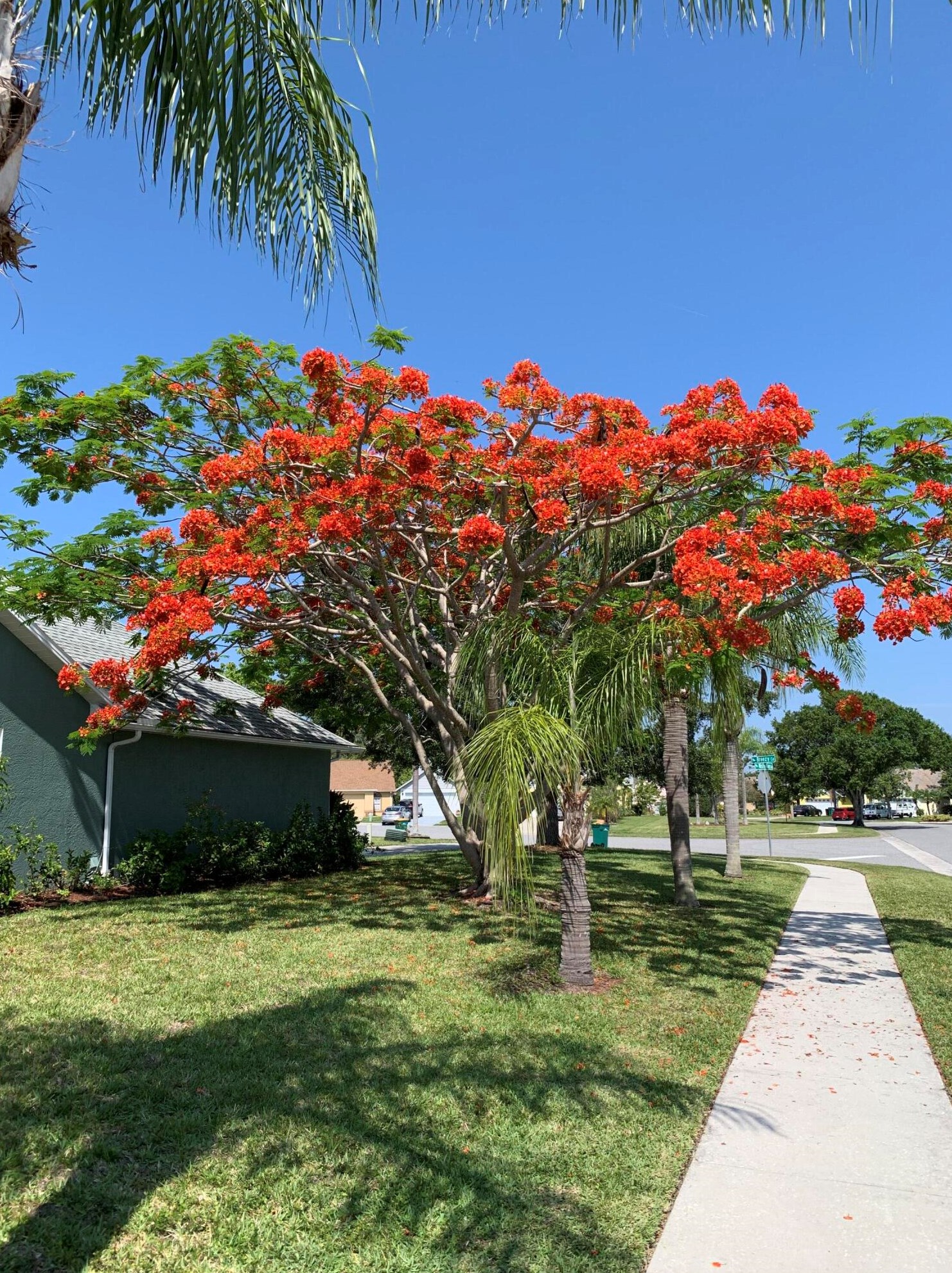 2245 Breezy Cir, Melbourne FL  32935-1451 exterior