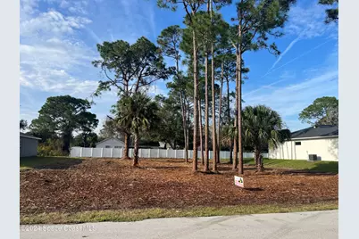 1141 Tiger Street SE, Palm Bay, FL 32909 - Photo 1