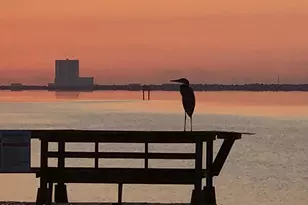 4997 Riveredge Dr, Titusville, FL 32780 - Photo 50