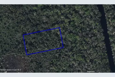 0000 Unknown, Mims, FL 32754 - Photo 1