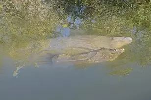 112 Sunset Dr, Cocoa Beach, FL 32931 - Photo 32