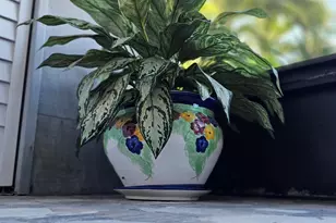 3799 S Banana River Blvd, Cocoa Beach, FL 32931 - Photo 26