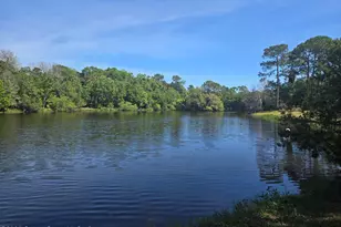 5425 James Ln, Mims, FL 32754 - Photo 46