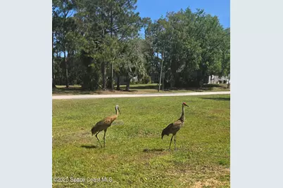 5425 James Lane, Mims, FL 32754 - Photo 48