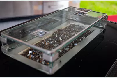 120 Windsong Way, Titusville, FL 32780 - Photo 12