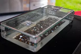 120 Windsong Way, Titusville, FL 32780 - Photo 12