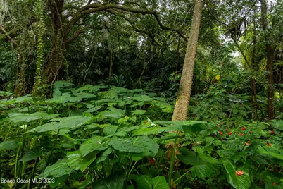 12511 Roseland Road, Sebastian, FL 32958 - Photo 6