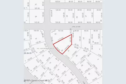 3041 Libby Avenue SW, Palm Bay, FL 32908 - Photo 2