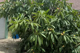 4220 Robins Hill Ct, Mims, FL 32754 - Photo 4