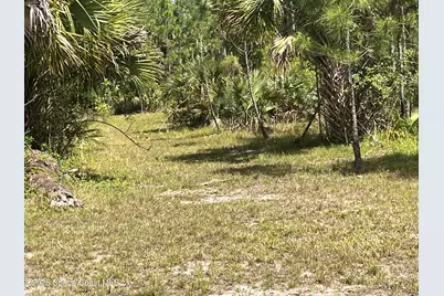 891 Hartsdale Avenue SW, Palm Bay, FL 32908 - Photo 8