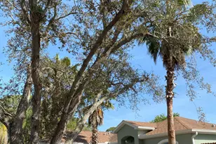 1785 Orris Ave, Merritt Island, FL 32952 - Photo 8