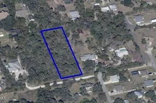 0000 Joel Ave S, Mims, FL 32754 - Photo 1