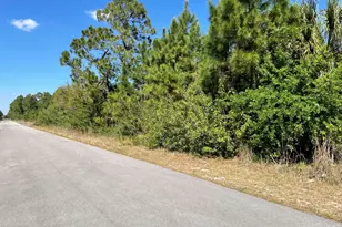 1711 Olympia Ave SW, Palm Bay, FL 32908 - Photo 1