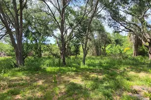 920 Malabar Rd, Malabar, FL 32950 - Photo 6