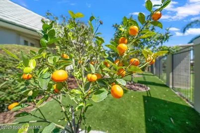 240 Lansing Island Drive, Indian Harbour Beach, FL 32937 - Photo 88