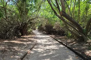 8751 Live Oak Ct, Cape Canaveral, FL 32920 - Photo 2