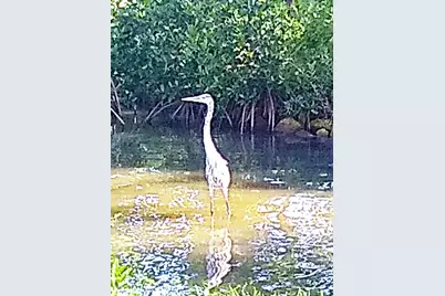 200 S Banana River Boulevard #2310, Cocoa Beach, FL 32931 - Photo 42