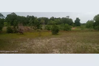 125 Moiser Lane, Melrose, FL 32666 - Photo 70