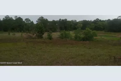 125 Moiser Lane, Melrose, FL 32666 - Photo 38