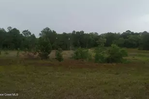 125 Moiser Ln, Melrose, FL 32666 - Photo 38