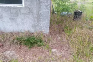 125 Moiser Ln, Melrose, FL 32666 - Photo 50