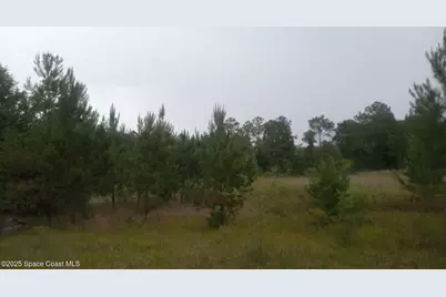 125 Moiser Lane, Melrose, FL 32666 - Photo 56