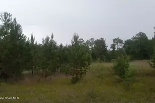 125 Moiser Ln, Melrose, FL 32666 - Photo 56