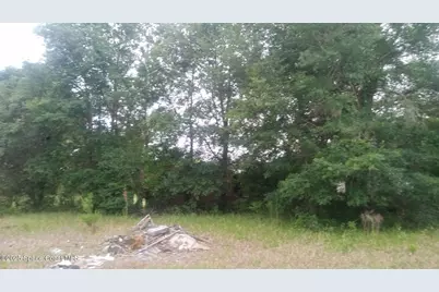 125 Moiser Lane, Melrose, FL 32666 - Photo 42