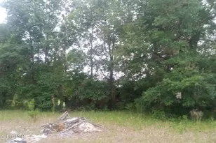 125 Moiser Ln, Melrose, FL 32666 - Photo 42