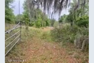 125 Moiser Lane, Melrose, FL 32666 - Photo 2