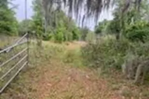 125 Moiser Ln, Melrose, FL 32666 - Photo 2