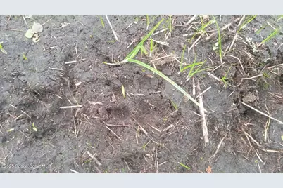 125 Moiser Lane, Melrose, FL 32666 - Photo 66