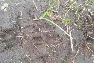 125 Moiser Ln, Melrose, FL 32666 - Photo 66