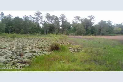 125 Moiser Lane, Melrose, FL 32666 - Photo 60