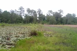 125 Moiser Ln, Melrose, FL 32666 - Photo 60